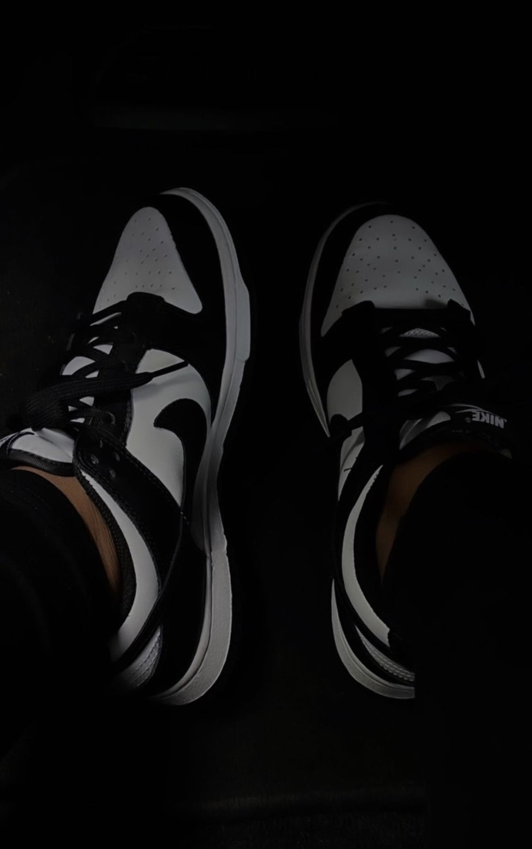 NIKE DUNKS