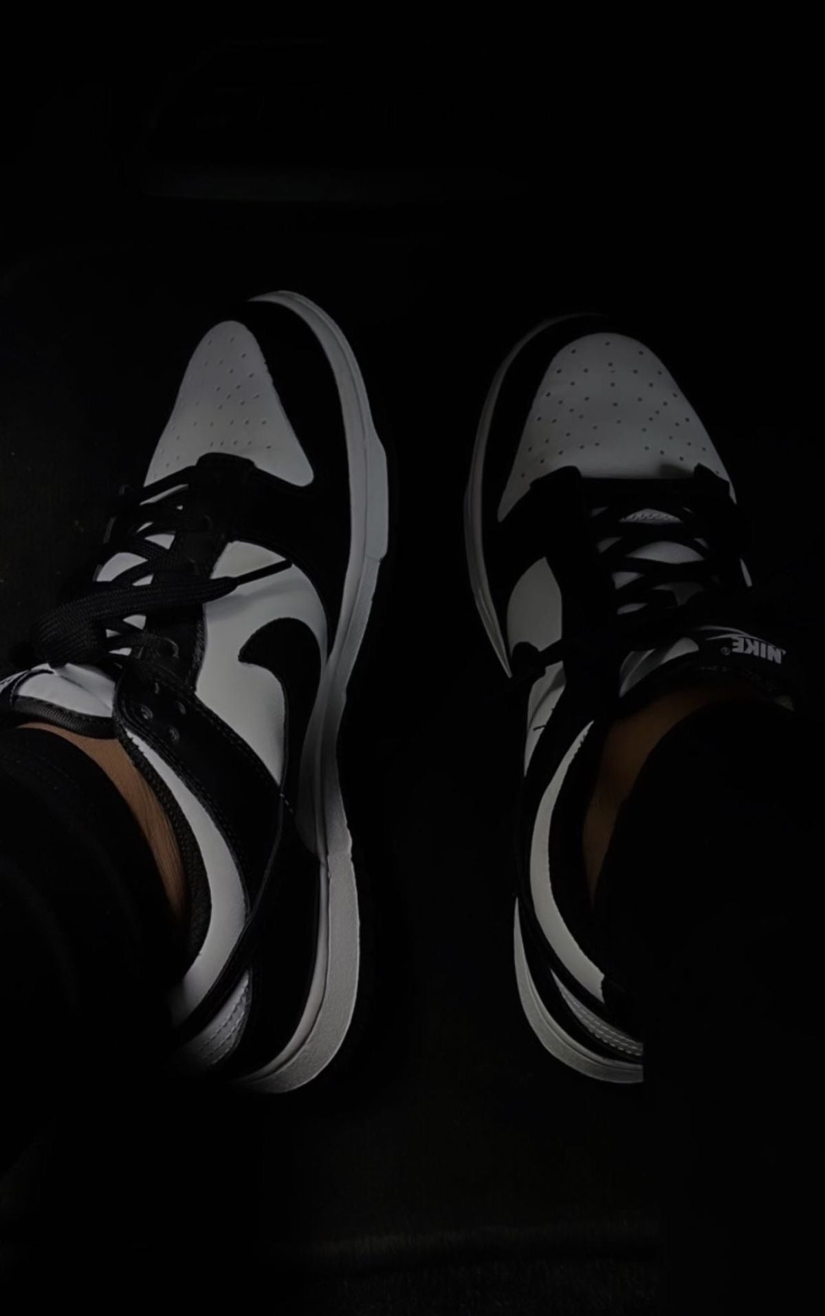 NIKE DUNKS